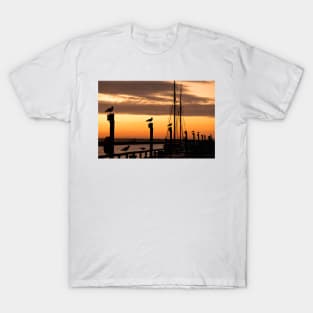 Silhouetted seagulls at sunrise T-Shirt